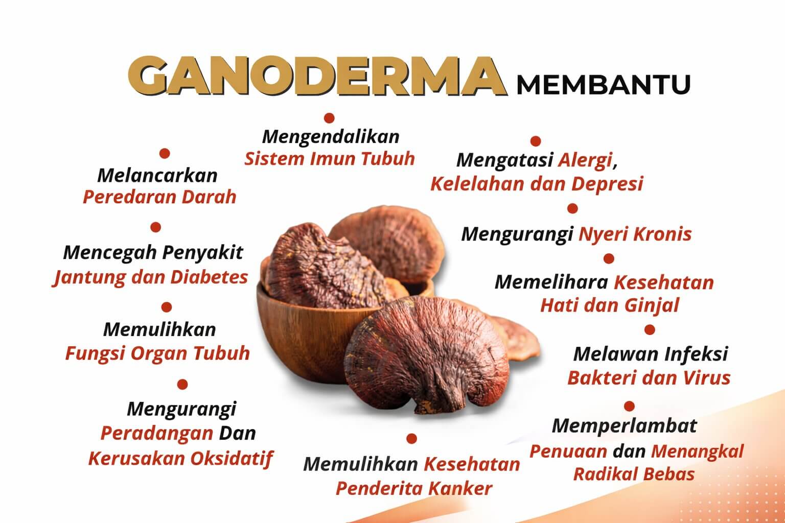 Ganoderma di Papua
