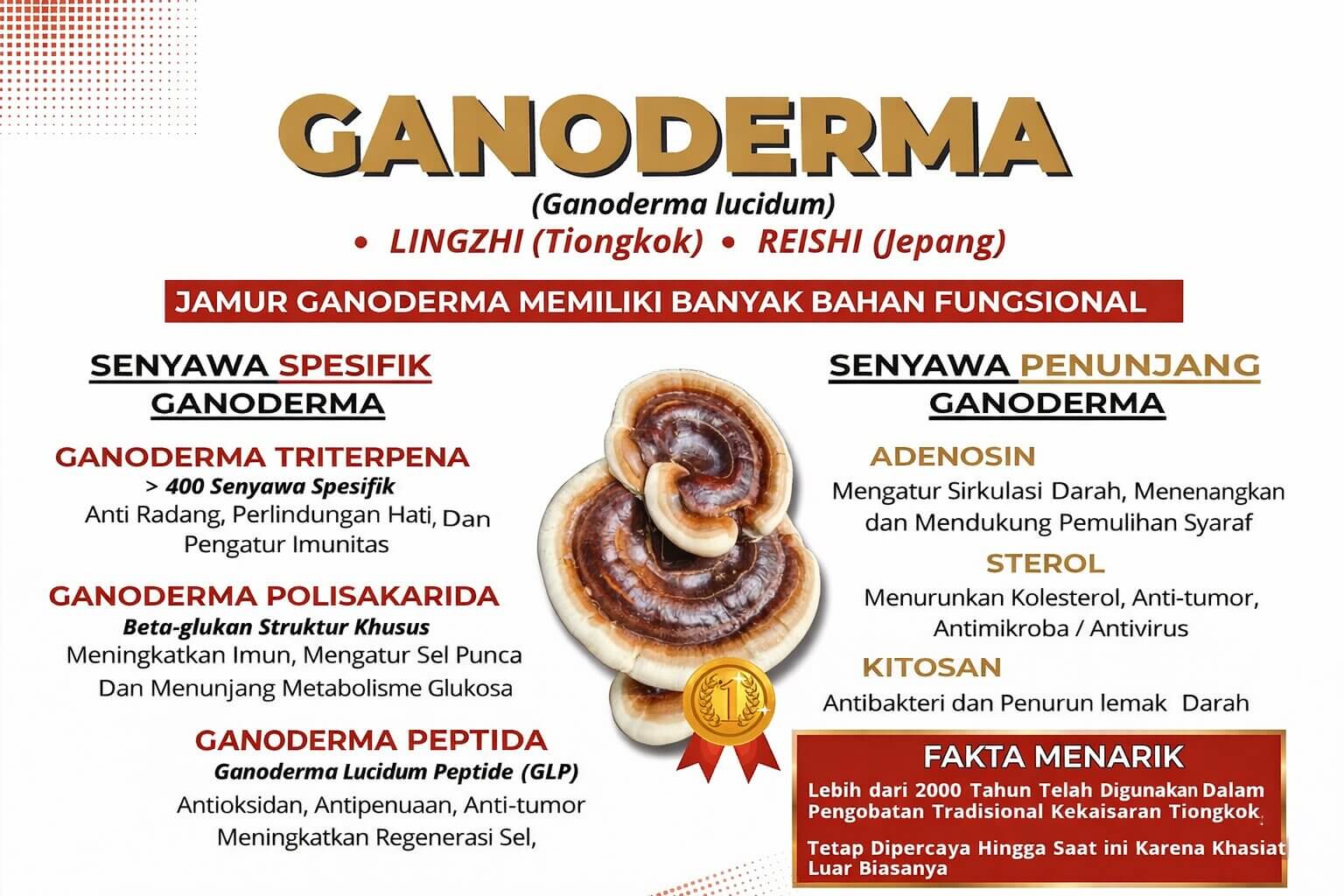 Ganoderma manfaat kesehatan Kopi Juwara Papua